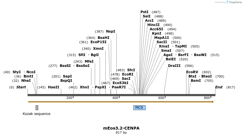 125147_map