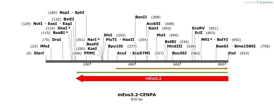 125148_map