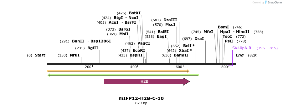 125152_map