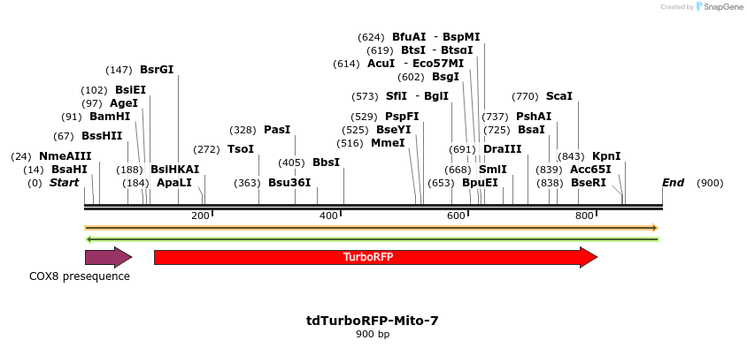 125155_map
