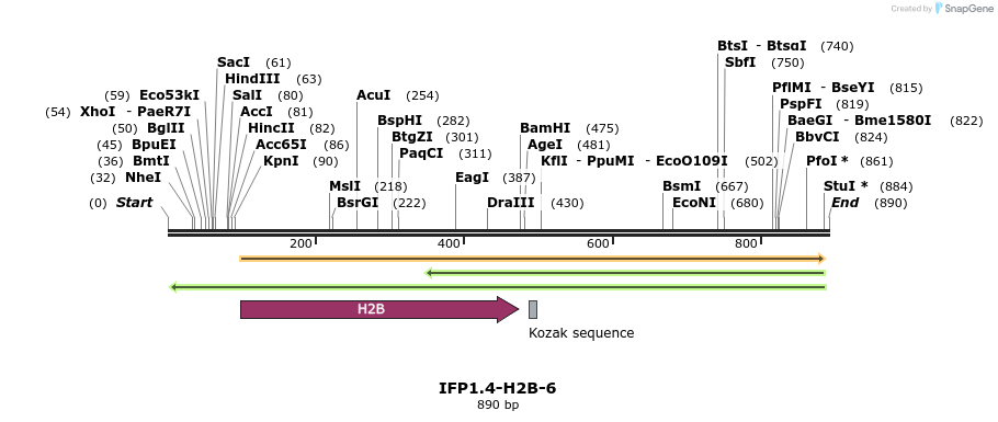 125158_map