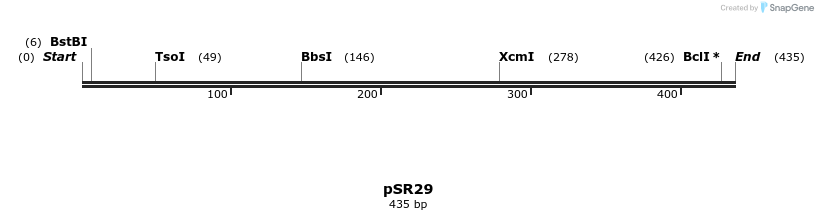 125176_map