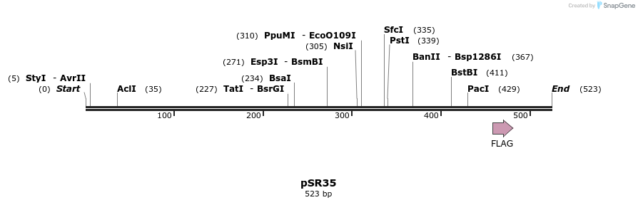 125179_map