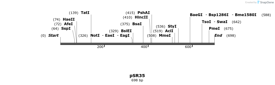 125180_map