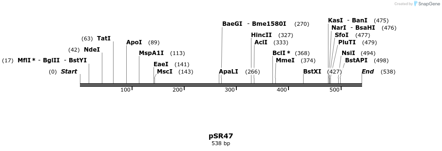 125184_map