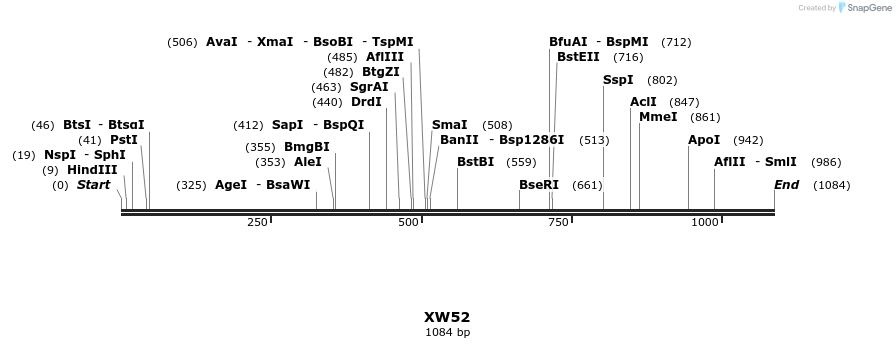 125188_map