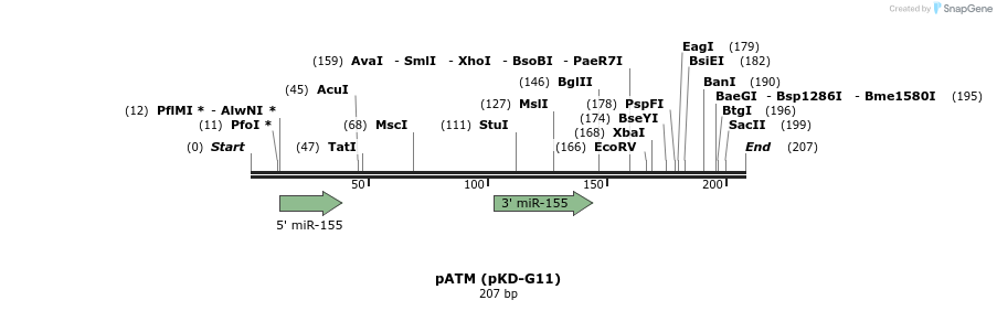 125189_map