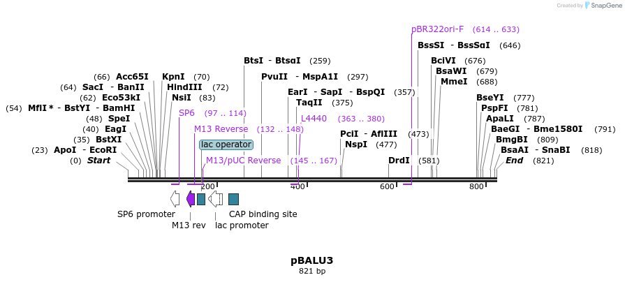 125190_map
