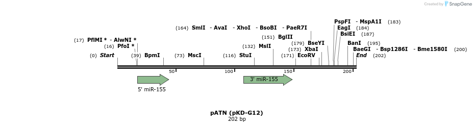 125191_map