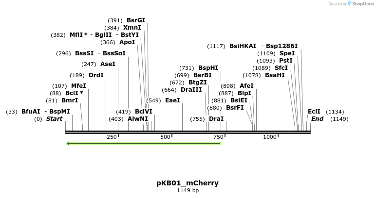 125192_map