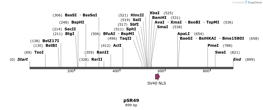 125193_map