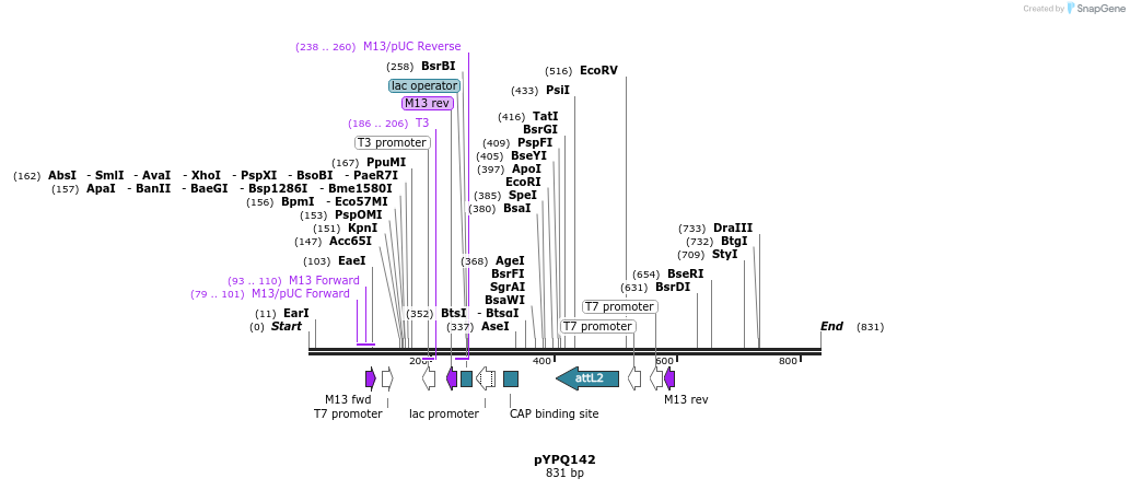 125197_map