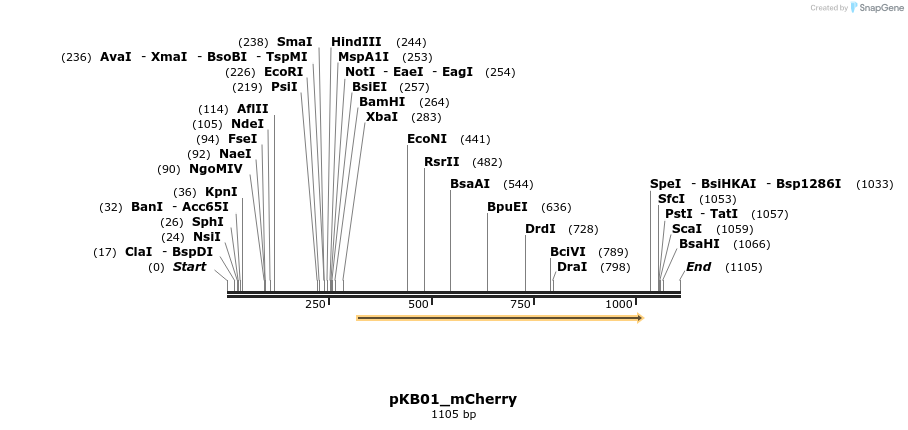 125201_map
