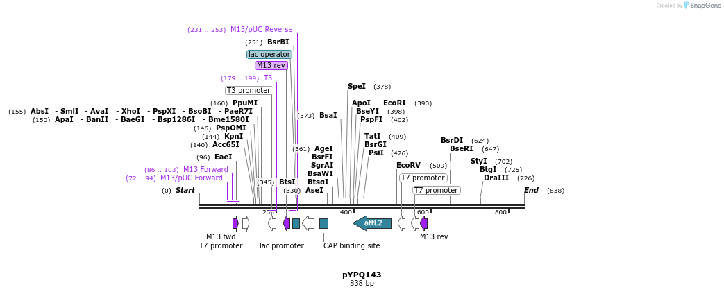 125203_map