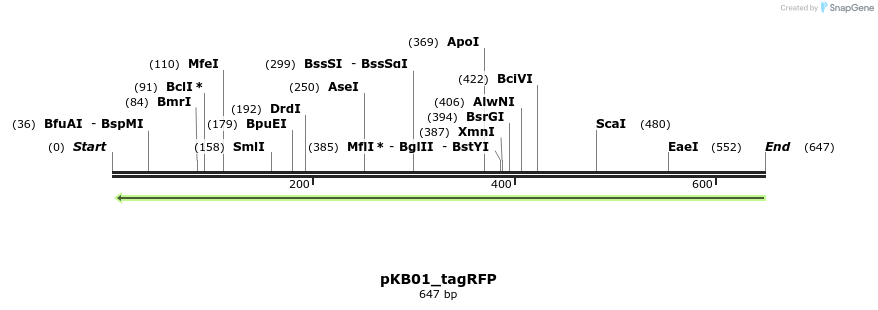 125209_map
