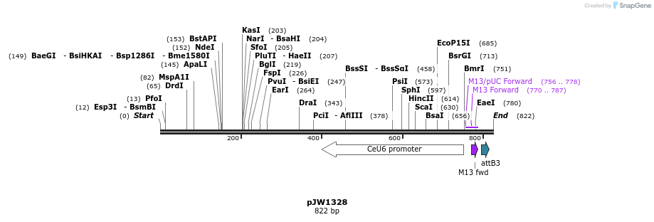 125214_map