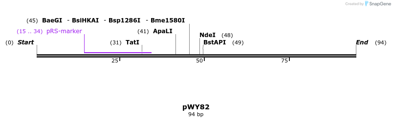 125218_map