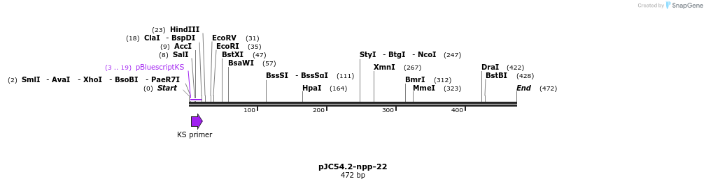 12522_map
