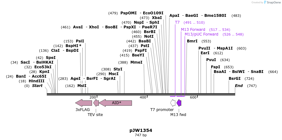 125220_map