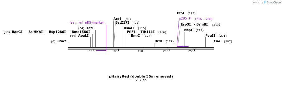 125222_map