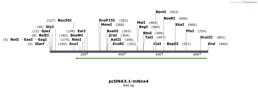 125224_map