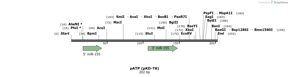 125225_map