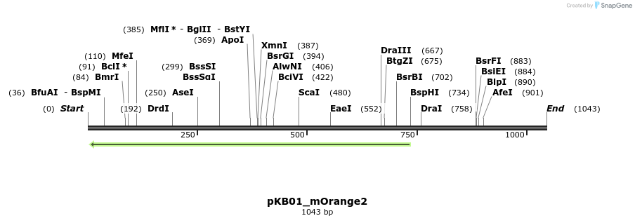 125230_map