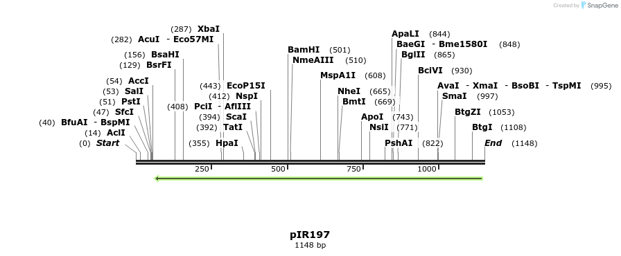 125236_map