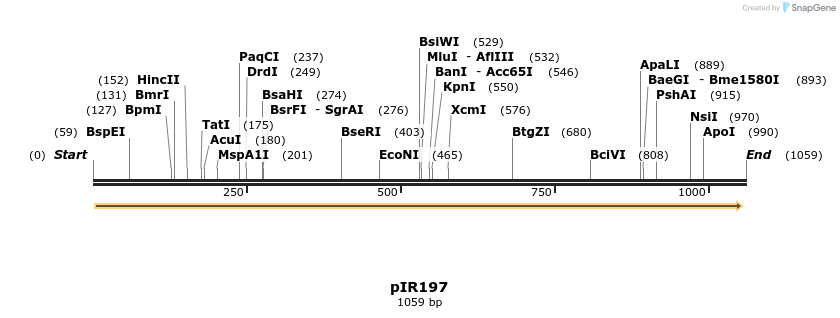 125237_map