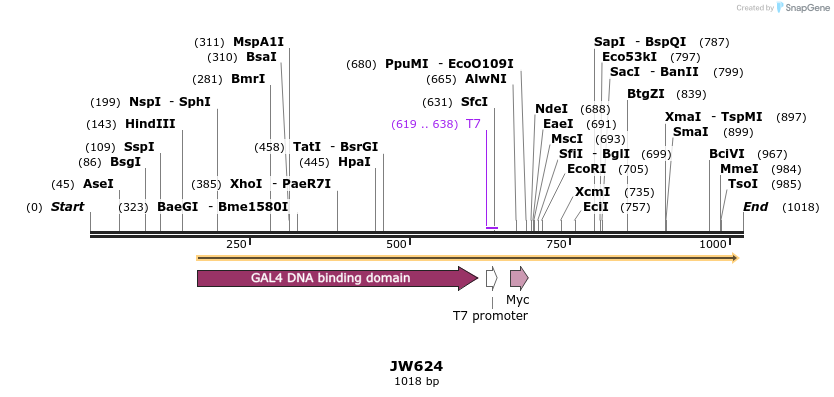125239_map
