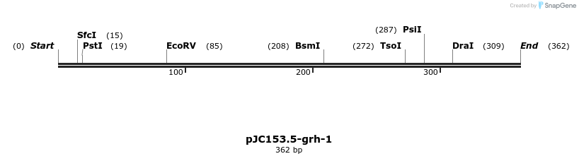 12524_map