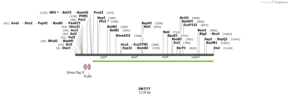 125240_map