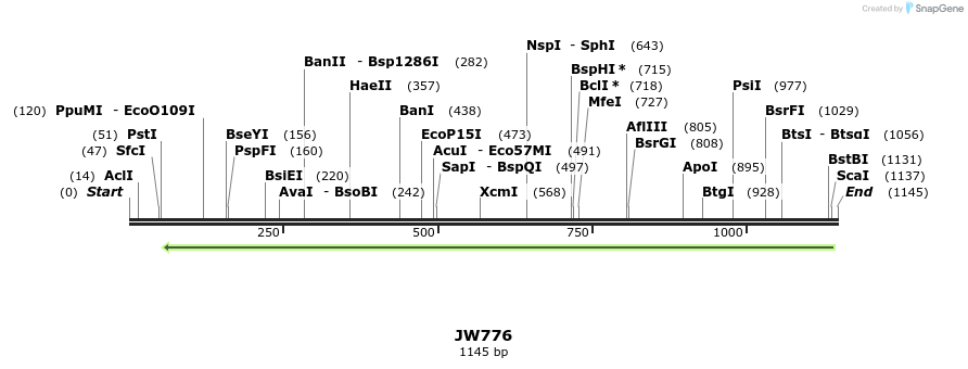 125243_map