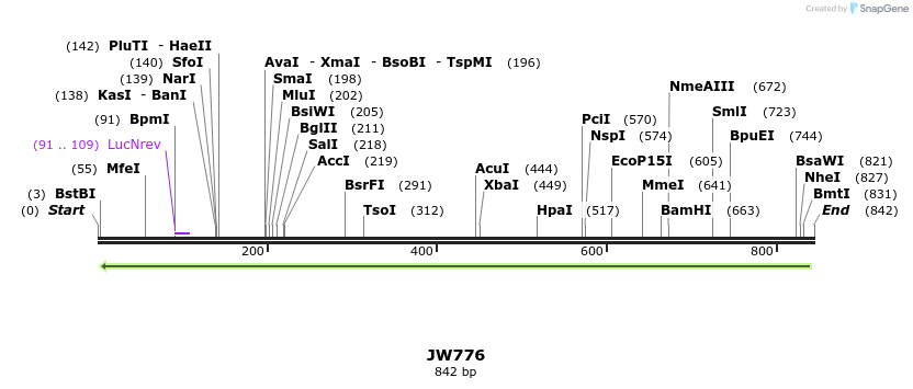 125244_map