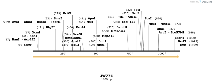 125245_map