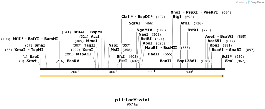 125250_map