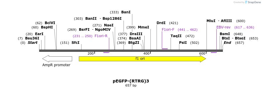 125252_map