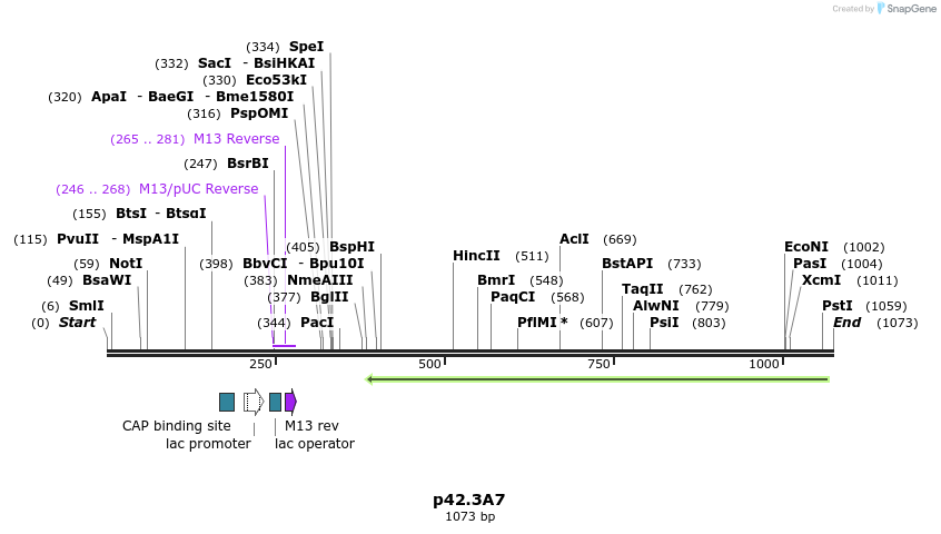 125254_map