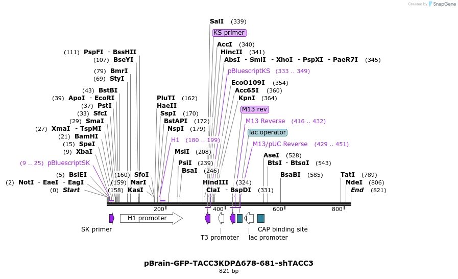 125256_map