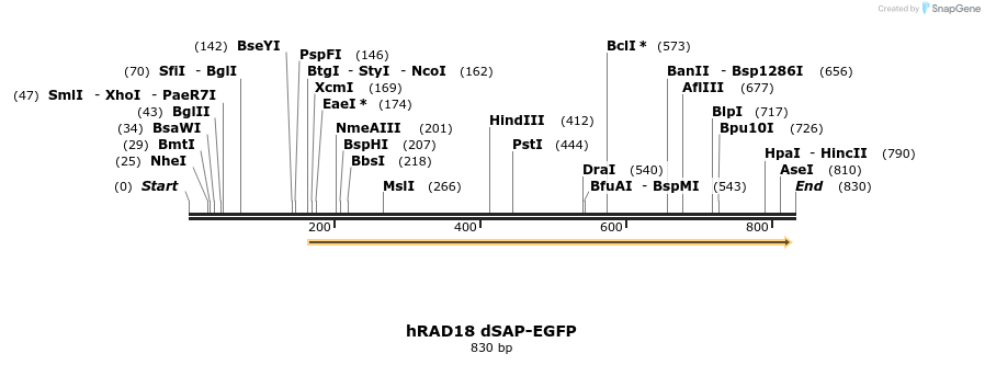 125260_map