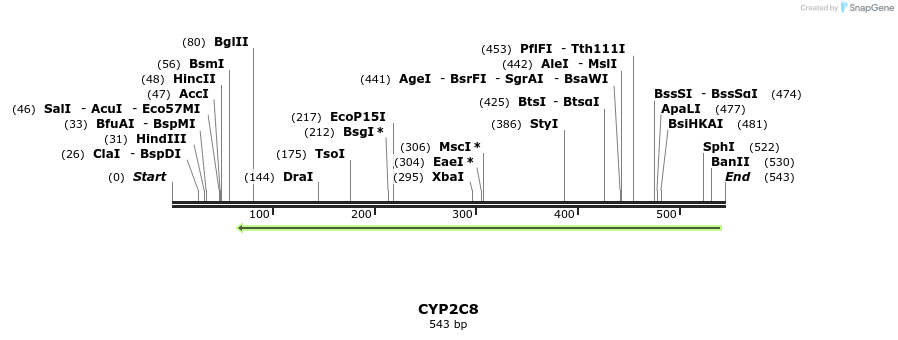 125261_map