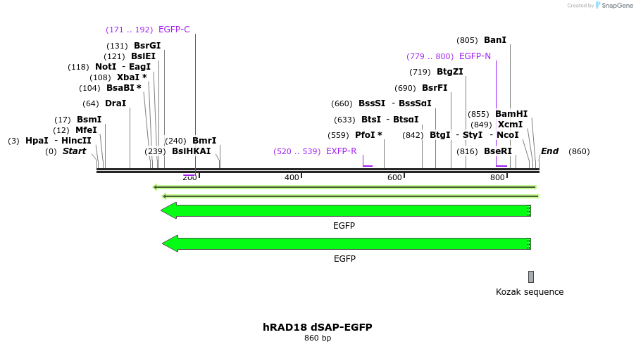 125262_map