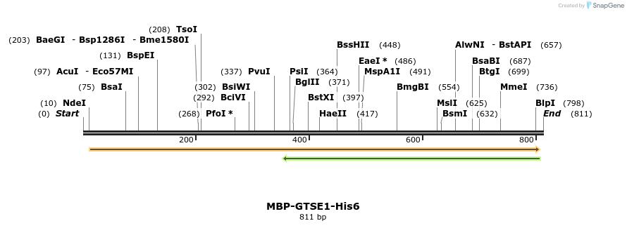 125263_map