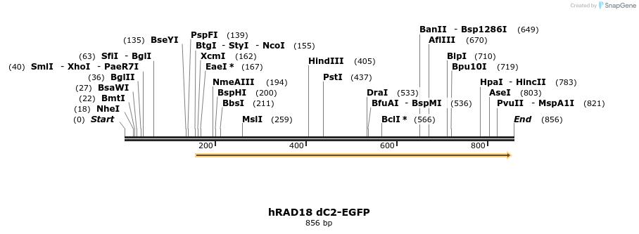 125265_map