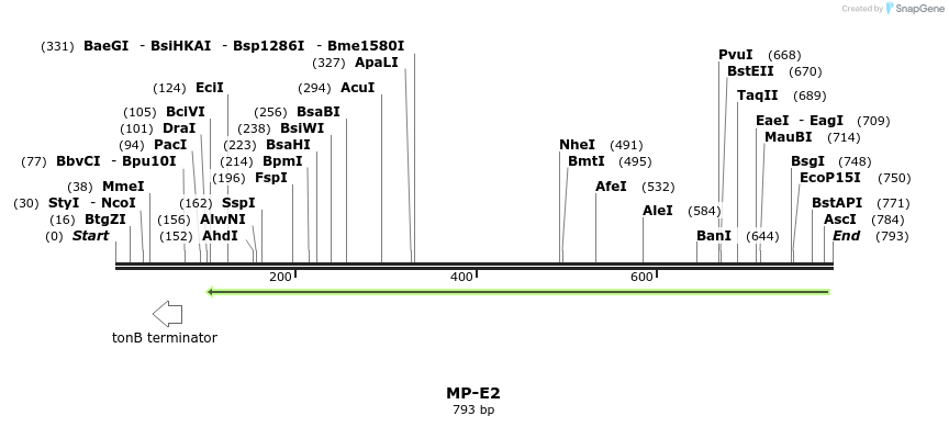 125266_map