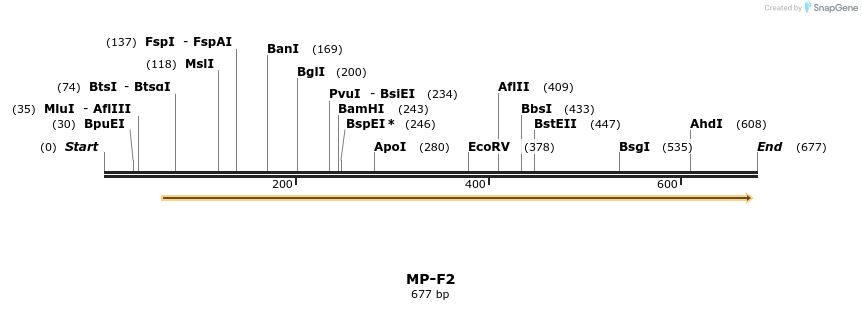 125267_map
