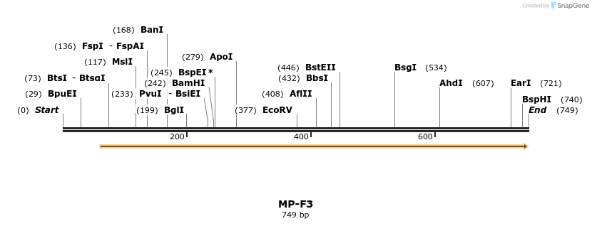 125269_map