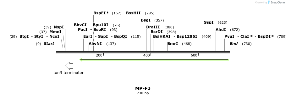 125271_map