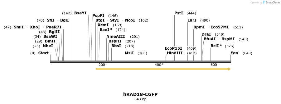 125273_map