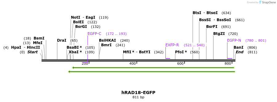 125274_map